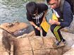 同學正進行岩石觀察